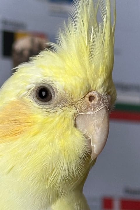 Emi